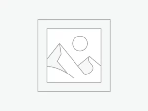플레이스홀더